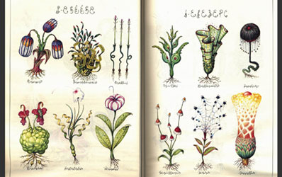 Codex Seraphinianus