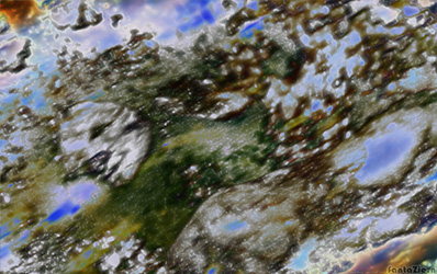 Face your fading world - Sietse Visser
