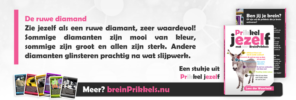 Prikkel jezelf met BreinPrikkels