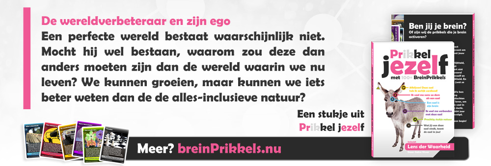 Prikkel jezelf met BreinPrikkels