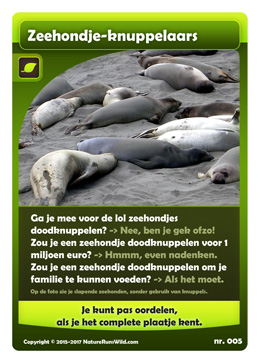 005-breinprikkel-zeehondjes-knuppelaars