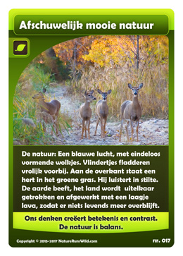 017-breinprikkel-afschuwelijk-mooie-natuur