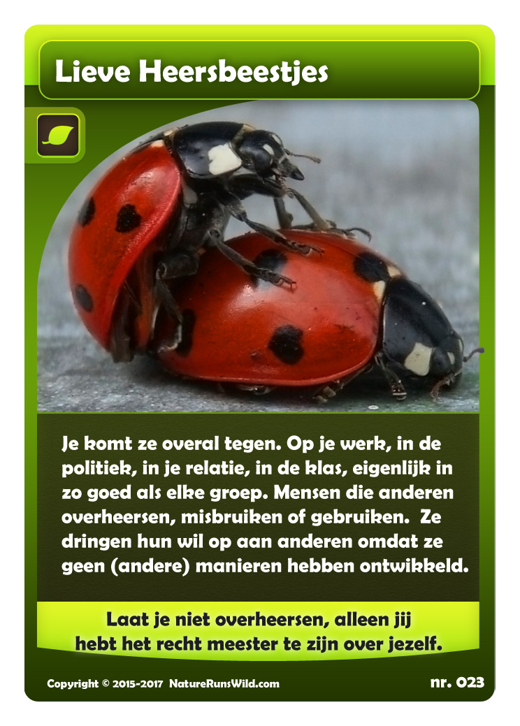 BreinPrikkel 023: