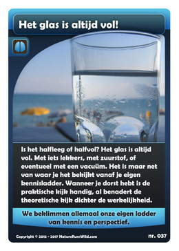 037-breinprikkel-is-het-glas-halfvol