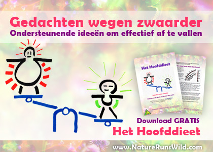 E-card