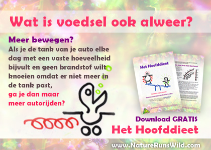 E-card