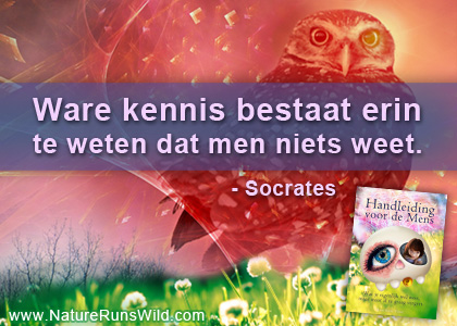 Ware kennis bestaat erin te weten dat men niets weet. - Socrates