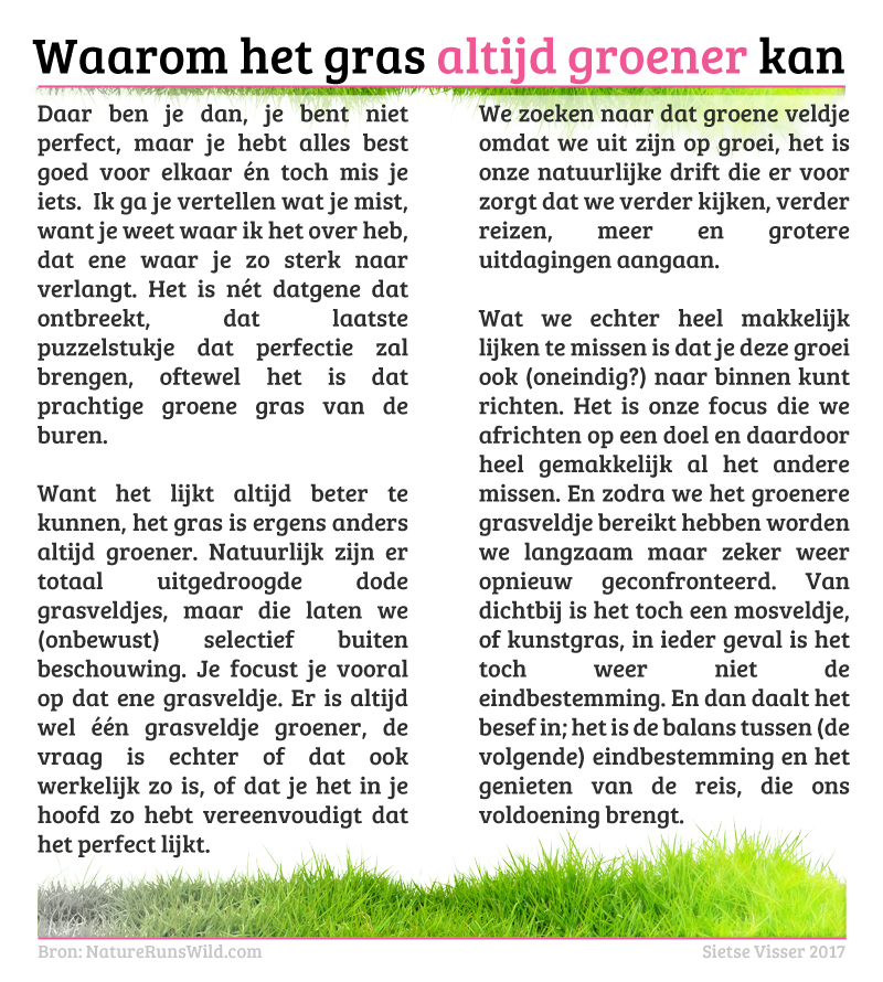 Waarom het gras altijd groener kan