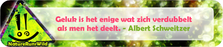 Geluk is het enige wat zich verdubbelt als men het deelt. - Albert Schweitzer