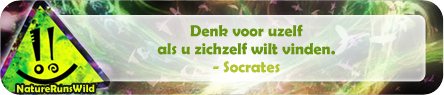 Denk voor uzelf als u zichzelf wilt vinden. - Socrates