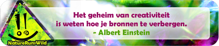 Het geheim van creativiteit is weten hoe je bronnen te verbergen. - Albert Einstein