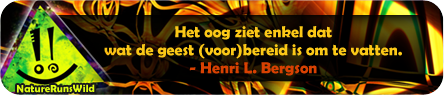 Het oog ziet enkel dat wat de geest (voor)bereid is om te vatten. - Henri L. Bergson