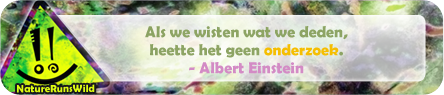 Als we wisten wat we deden, heette het geen onderzoek. - Albert Einstein