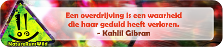 Een overdrijving is een waarheid die haar geduld heeft verloren. - Kahlil Gibran