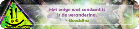 Het enige wat constant is, is de verandering. - Boeddha