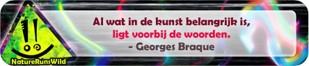 Al wat in de kunst belangrijk is, ligt voorbij de woorden. - Georges Braque