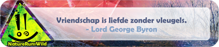 Vriendschap is liefde zonder vleugels. - Lord George Byron