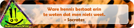 Ware kennis bestaat erin te weten dat men niets weet. - Socrates