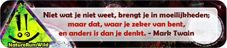 Niet wat je niet weet, brengt je in moeilijkheden; maar dat, waar je zeker van bent, en anders is dan je denkt. - Mark Twain