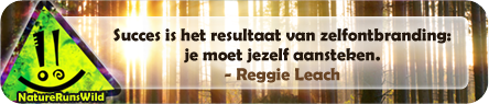 Succes is het resultaat van zelfontbranding: je moet jezelf aansteken. - Reggie Leach