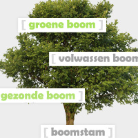 Wie weet werkelijk wat een boom is?