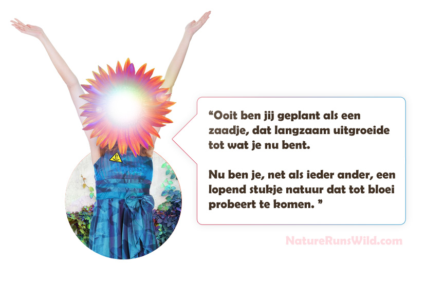 Een breder perspectief brengt je dichter bij de essentie. Een breder perspectief brengt je dichter bij de essentie.